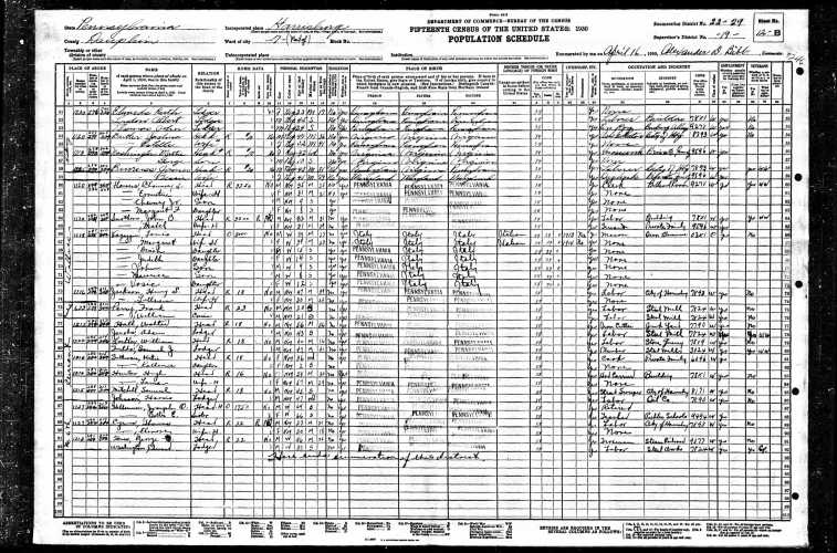 ChaunceyFlowers1930Census2