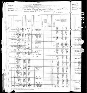 1880UnitedStatesFederalCensusForHarryFlowers