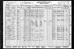 1930UnitedStatesFederalCensusForChaunceyFlowers