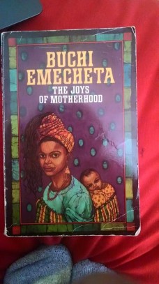 11256983_10206214110370226_7163849655040761783_n